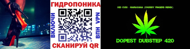 Галлюциногенные грибы Заволжье