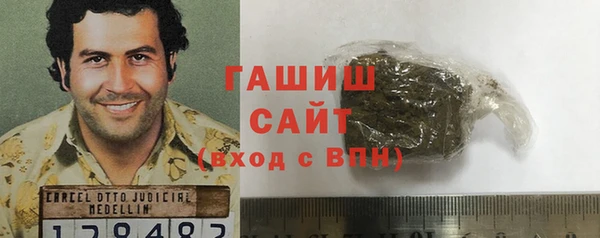 прущие грибы Гусев