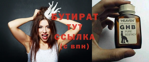 прущие грибы Гусев