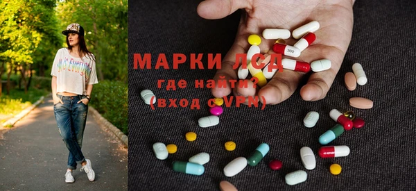 прущие грибы Гусев