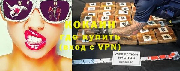 прущие грибы Гусев