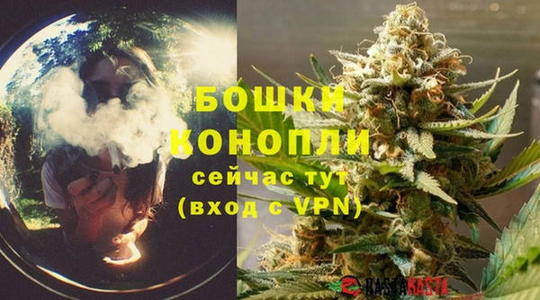 прущие грибы Гусев