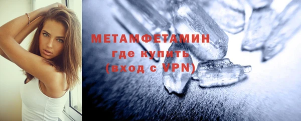прущие грибы Гусев