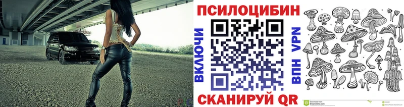 сайты даркнета наркотические препараты  Заволжье  гидра онион  Галлюциногенные грибы Magic Shrooms  магазин  наркотиков 