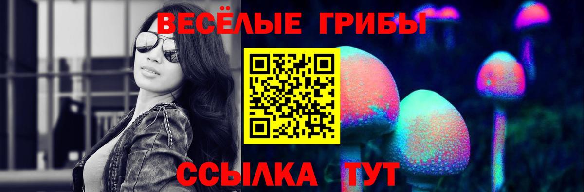 Псилоцибиновые грибы мицелий Заволжье