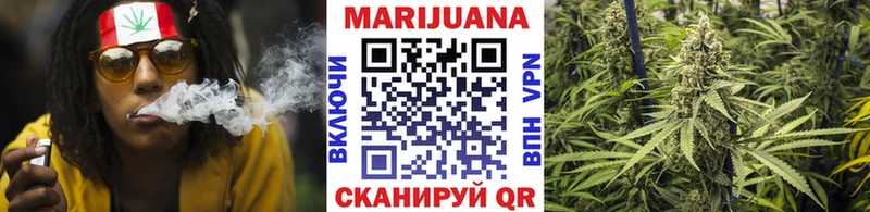Конопля SATIVA & INDICA  Заволжье 